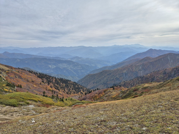 Грузия, Аджария